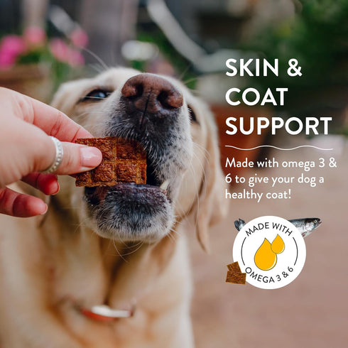 Shameless Pets Jerky Dog Treats, Salmon Loves Butternut, Healthy Chews for Skin & Coat, 1-Pack
