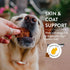Shameless Pets Jerky Dog Treats, Salmon Loves Butternut, Healthy Chews for Skin & Coat, 1-Pack