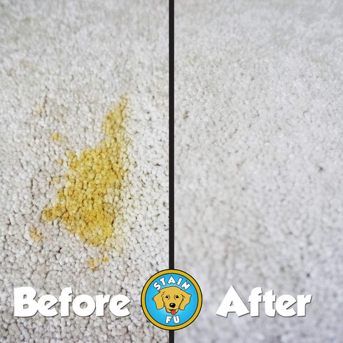 Pro Strength Carpet Odor & Stain Remover, 24 fl.oz, Works on Tough Urine, Feces, Vomit, and Red Wine