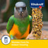 Vitakraft Crunch Sticks Parrot Treat, Apple and Honey Pet Bird Treat Toy