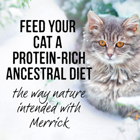 Merrick Backcountry Grain Free Gluten Free Premium High Protein Wet Cat Food, Whitefish Recipe Cuts with Gravy (Pack of