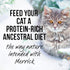Merrick Backcountry Grain Free Gluten Free Premium High Protein Wet Cat Food, Whitefish Recipe Cuts with Gravy (Pack of