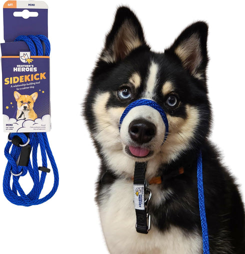 Heather's Heroes Sidekick Dog Headcollar with Leash, Effective Training Tool for Leash Reactivity (Blue, Mini)