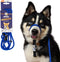Heather's Heroes Sidekick Dog Headcollar with Leash, Effective Training Tool for Leash Reactivity (Blue, Mini)