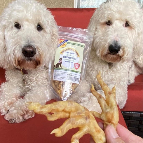 Green Butterfly Chicken Feet Dog Treats - 100% All Natural Dental Chews, Made in USA, 10 Pack, Rich in Glucosamine