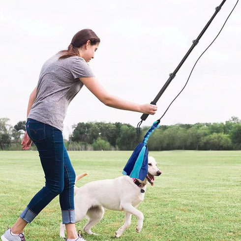 Flirt Pole for Dogs, Interactive Toys Tug-of-war for Dogs, Four-Section Retractable Adjustable Length, Chase Toys