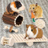 Hamster Chew Toys Set for Small Animals, Wooden Molar Toys for Guinea Pigs, Chinchillas, Gerbils, Mice, Rats