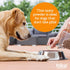 Riley's Multi-Essentials Multivitamin for Dogs - Vitamins, Minerals, Spirulina, Kelp, Milk Thistle - 8oz Powder