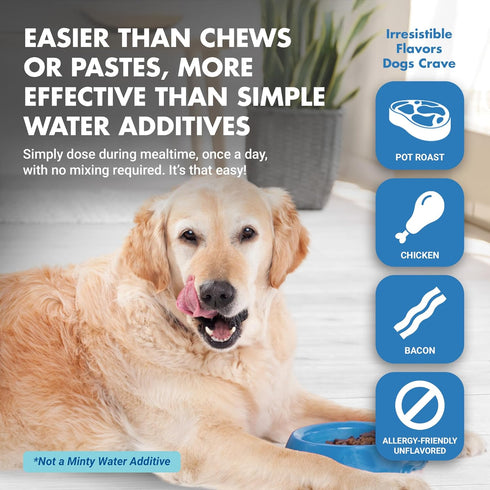 K9 Teeth & Gums Advanced Formula, Chicken Flavor, 32 oz