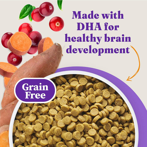 Halo Holistic Kitten Food Dry, Grain Free Cage-free Chicken Recipe, Complete Digestive Health, 3-lb Bag