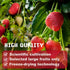 16 Oz/1lb Freeze Dried Strawberries Pieces, Resealable Bucket Dehydrated Strawberry - Premium Dried Fruit Bulk No Added