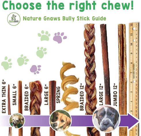 Nature Gnaws Large Bully Sticks for Dogs 5-6" (15 Count), Thick Long Lasting Natural Beef Chew Bones