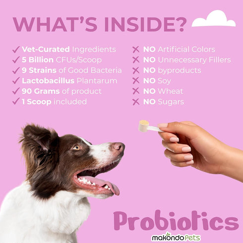 Probiotics for Dogs & Puppies, Extra Strength 9 Species, 5 Billion CFU per Scoop, Digestive Enzymes, Powder Probiotic
