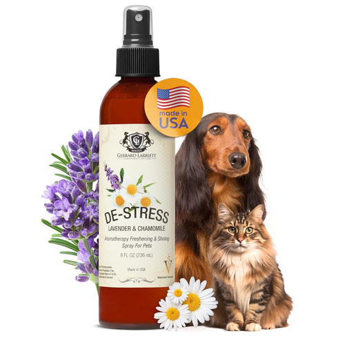 Dog Perfume Spray, Long Lasting Chamomile & Lavender, 8 Fl Oz, Calming Deodorizer for Dogs