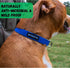 Hemp Dog Collar, Hypoallergenic Padded Adjustable Collar for Small, Medium, and Large Dogs, Small Red