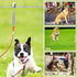 Dog Tie Out Runner for Yard, Heavy Duty Trolley System for Large Dogs, 120ft Cable Lead with 10ft Pulley for Dogs Up to