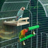 Natural Wood Bird Perches for Cage, Platform Swing, Nail Trimming Paw Grinding Stick for Parakeet Cockatiels Parrot