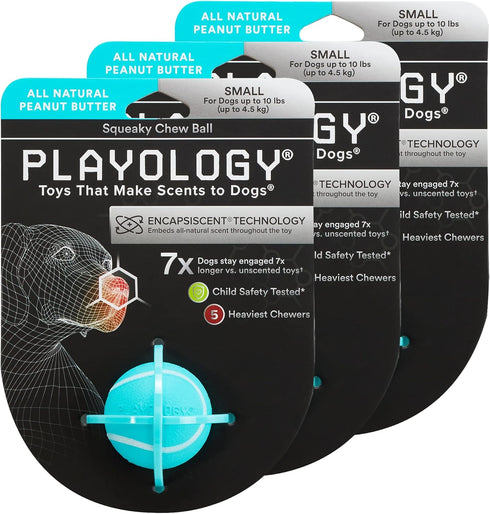 Playology Squeaky Chew Ball for Dogs - All Natural Peanut Butter Scented Toy for Small Dogs (up to 10 pounds) Value