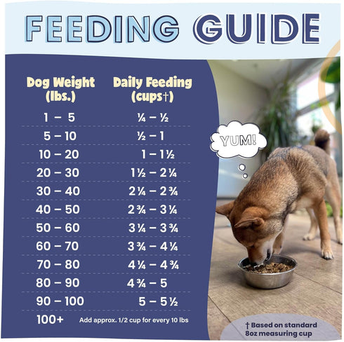 Pawstruck All Natural Air Dried Dog Food w/Real Chicken, Grain Free, High Protein Limited Ingredient, 2lb Bag