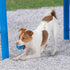 Best Pet Supplies Squeaky Tennis Toys for Dogs, 4-Pack Heavy-Duty Interactive Toys