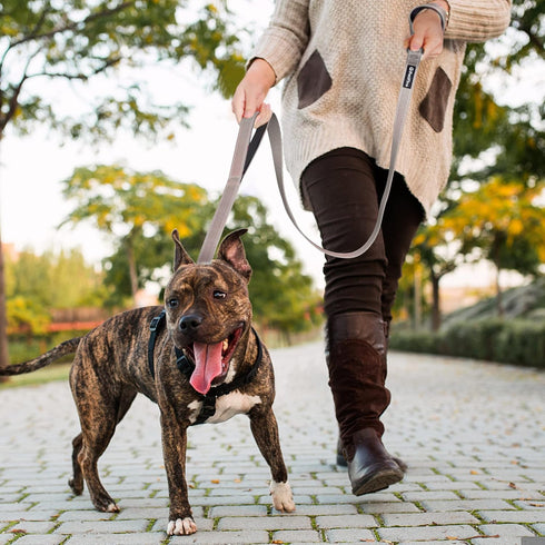 PetiFine 5FT Heavy Duty Dog Leash with Soft Padded Double Handle, Reflective Nylon for Large, Medium, Small Dogs