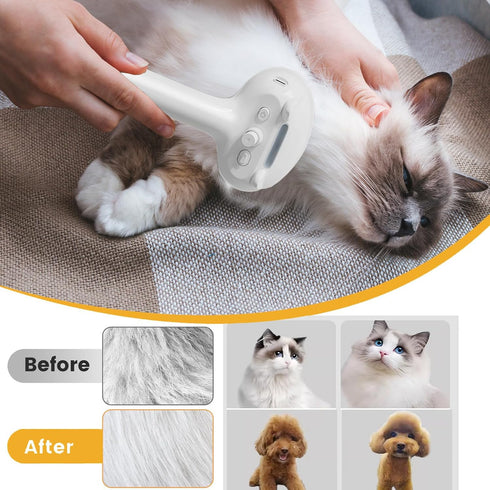 Cat Steam Brush, 4 in 1 Steamy Brush for Cats & Dogs, Spray Brush with Water Tank