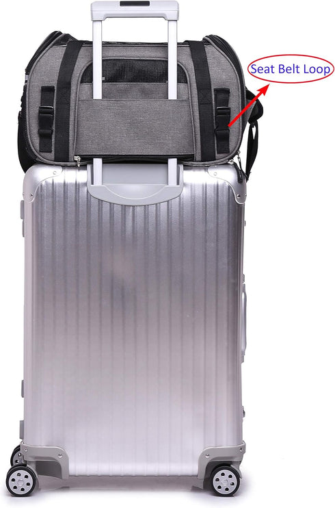 EliteField Soft Sided Pet Carrier, Airline Approved, Large: 19" L x 10" W x 13" H, Charcoal Gray