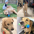Blingbrione Dog Chew Toys for Large Breed Aggressive Chewers, Durable Rose Rubber Teething Toys for Small/Medium Dogs,