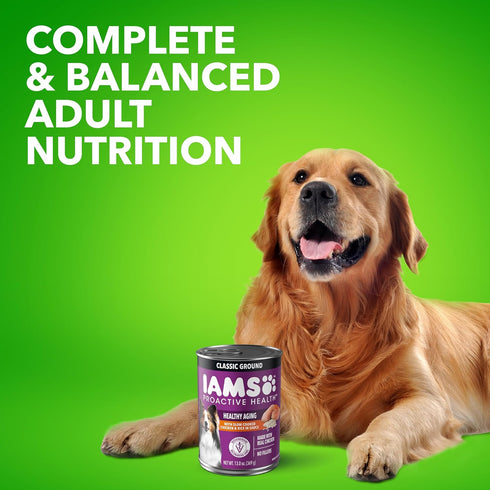 13 oz. (Pack 12) IAMS Proactive Health Senior Wet Dog Food, Classic Ground Dog Wet Food, Slow Cooked Chicken and Rice