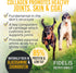 Fidelis Collagen Chews Sticks for Dogs - Natural Healthy Chew, Supports Joint Health & Dental Care, Made in USA (4 Pack)
