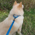 Adjustable Martingale Dog Collars, Soft Comfort Silky Training Collar with Heavy Duty D-Ring for Active Dogs (Classic