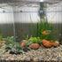 Artificial Silk Aquarium Plants, 3PCS Green Grasses, Aquatic Water Grass Foreground Decor