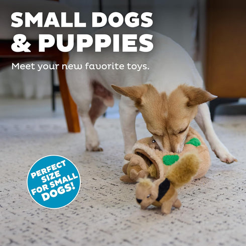 3Pack Outward Hound Squeakin Squirrels Plush Squeaky Dog Toys for Puppies, Small Dogs & Hide-A-Squirrel Replacements