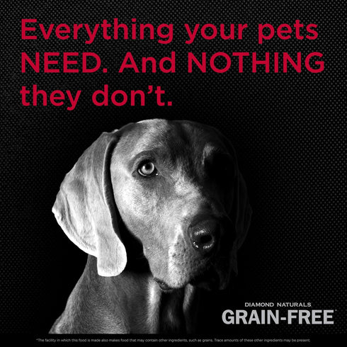 Diamond Naturals Grain Free Real Meat Recipe Premium Dry Dog Food with Real Pasture Raised Beef, 5 lb