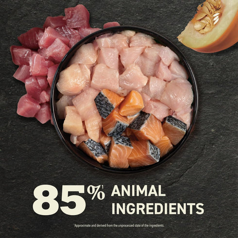 Pack: 3oz (12 Count, 6 ACANA Premium Pate Wet Cat Food in Bone Broth Variety Salmon & Chicken + Tuna & Chicken Recipes