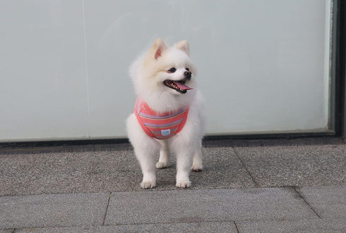 Striped Teacup Pet Dog T-Shirts - 100% Cotton Tank Vest for Small Dogs and Cats, Sleeveless Puppy Clothes, Pink,