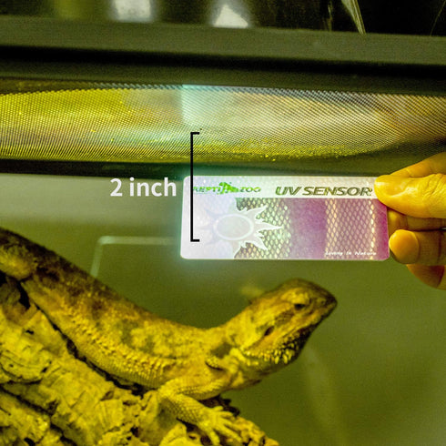 REPTI ZOO UVB Tester, Reptile Lamp UV Sensor, Set of 2
