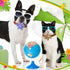 36 Pieces Dog Collar Flower, Adjustable Pet Flower Collar Attachment for Small Medium Large Dogs and Cats