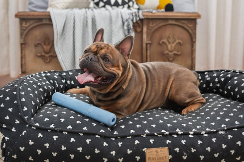 Harry Barker Rubber Balls and Rubber Chew Stick, Rubber Bone for Dogs