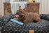 Harry Barker Rubber Balls and Rubber Chew Stick, Rubber Bone for Dogs