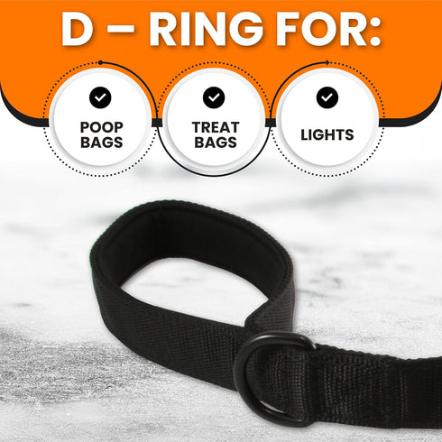 Service Dog Leash, Strong Nylon with Soft Neoprene Padded Handle, 4ft Length x 1in Width