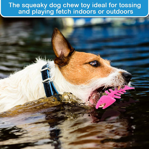 Teyva Daily 6 Pack Set, Summer Floating TPR Squeaky Dog Toys for Pool Beach, Small Medium Dogs Water Fetch Swim Chew
