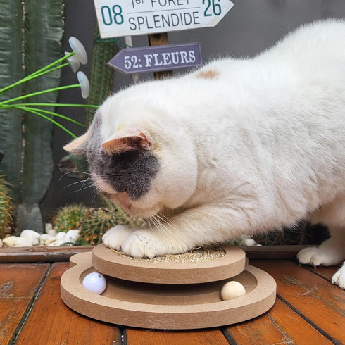 Cute Cat Scratcher,Interactive Scratcher Toys for Indoor Cats and Kitten Natural Sisal Cat Scratch Mats Track Balls