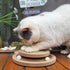 Cute Cat Scratcher,Interactive Scratcher Toys for Indoor Cats and Kitten Natural Sisal Cat Scratch Mats Track Balls
