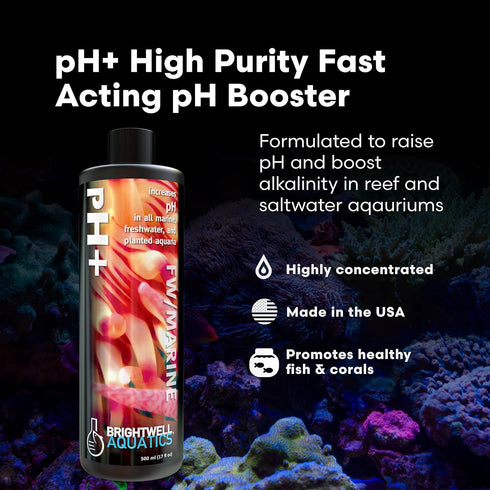 125 ml Brightwell Aquatics pH+ Alkalinity and pH Booster for Marine & Reef Aquariums Increases pH and KH Stability