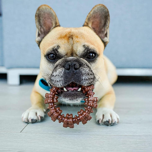 Nylabone Textured Ring Power Chew Toy for Small Dogs, Durable Chew Bones for Aggressive Chewers, Small