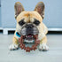 Nylabone Textured Ring Power Chew Toy for Small Dogs, Durable Chew Bones for Aggressive Chewers, Small