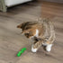 Catnip-Infused Wiggle Worm Dental Chew Toy for Cats