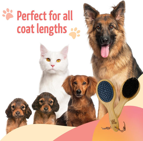 The Buddy System Combo Bristle Pet Brush, 2-in-1 Durable Rubber and Soft Boar Bristle Side