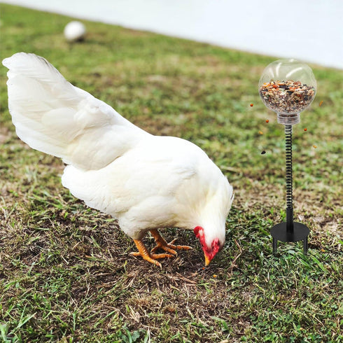 Oooct 4 Pack Chicken Peck Toy - Enrichment Swing Feeder for Hens, Ducks & Parrots